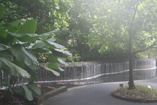 IMG_2371.gif