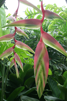 IMG_2397.gif