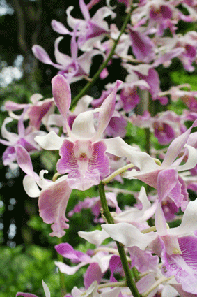 IMG_2404.gif