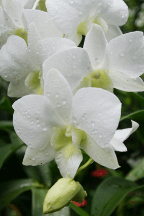 IMG_2430.gif