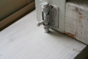 IMG_2855.gif